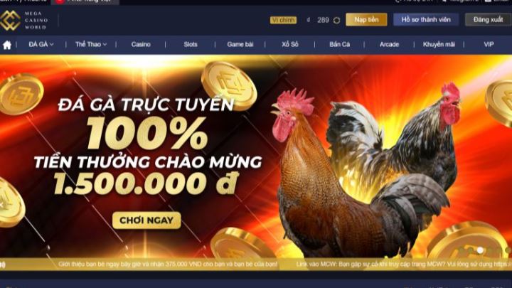 Thông tin quan trọng tóm tắt trên trang web Stake Games - Stake