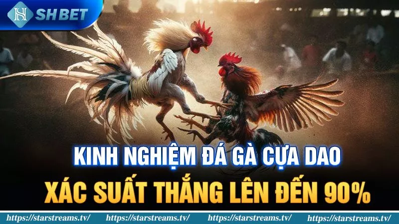 So với các trang web chơi game khác, Fb68 có những nhược điểm gì? - Fb68