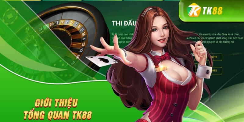 Stake có cung cấp hỗ trợ 24/7 không? - Stake