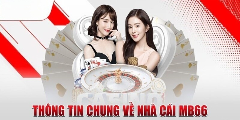 Chương trình Liên minh Vnd188 là gì? - Vnd188