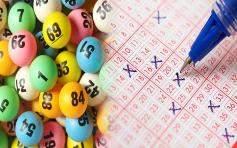 Hiện nay, Sân chọi gà Tomo đã phát triển thành một sân chọi gà hiện đại đạt tiêu chuẩn Qh888 - Qh888