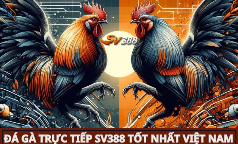 Thời gian rút tiền Aw8 - Aw8