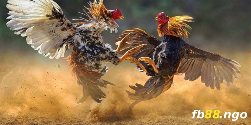 Phương pháp trải nghiệm game We88 - We88