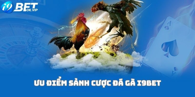 Những trang web trực tuyến phổ biến nhất năm 2026 theo bình chọn của Tt88 - Tt88