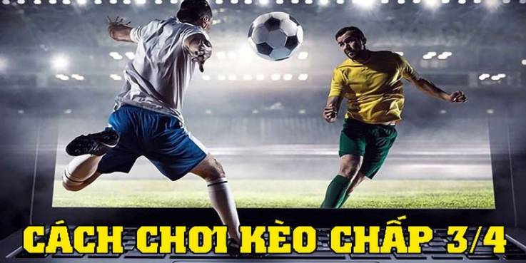 Những tựa game nào được xếp hạng Zalv? - Zalv