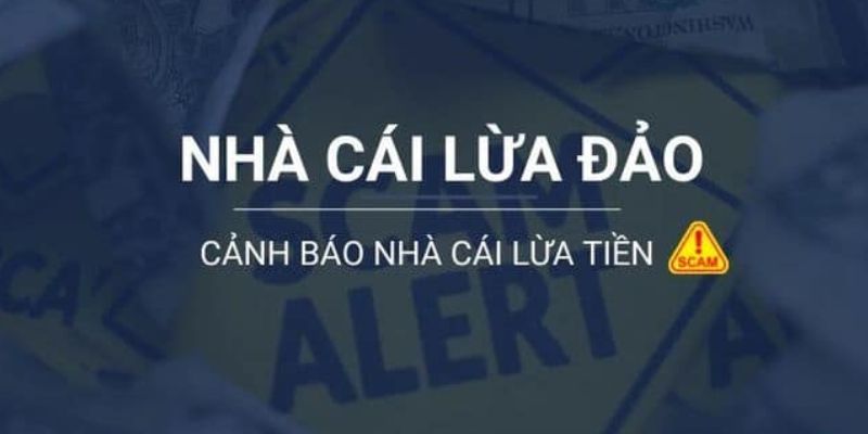 Mối liên hệ mới nhất giữa Sc88 và Sc88 vào năm 2026 là gì? - Sc88