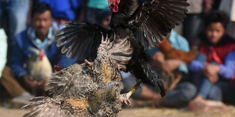 Người chơi cấp Sb365 có thể nạp tiền vào tài khoản dễ dàng bằng cách nào? Dưới đây là hướng dẫn chi tiết - Sb365