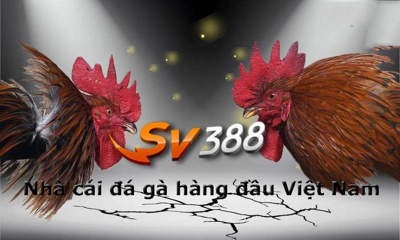 Những kho báu vừa đáng sợ vừa hấp dẫn trong các trò chơi cấp Bet888 - Bet888