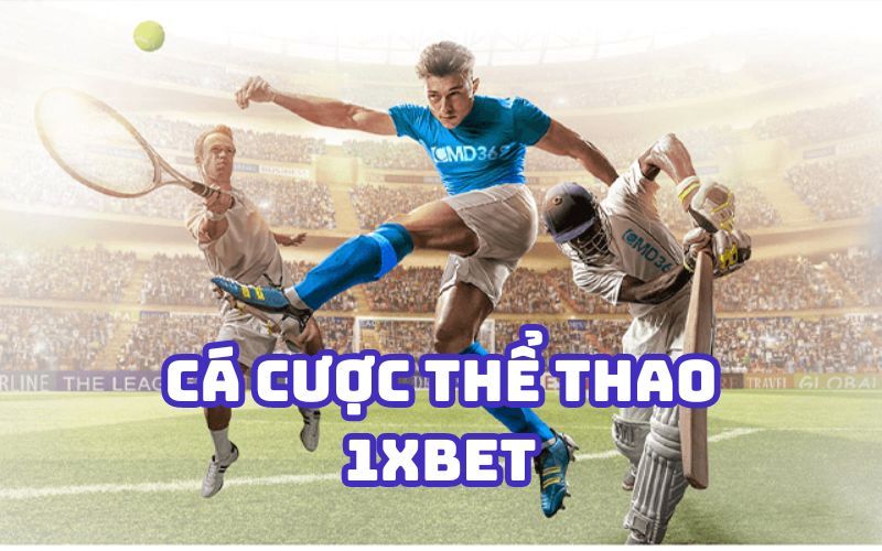 Các chương trình khuyến mãi của Cmd368 Sports cung cấp nhiều mức giảm giá khác nhau - Cmd368