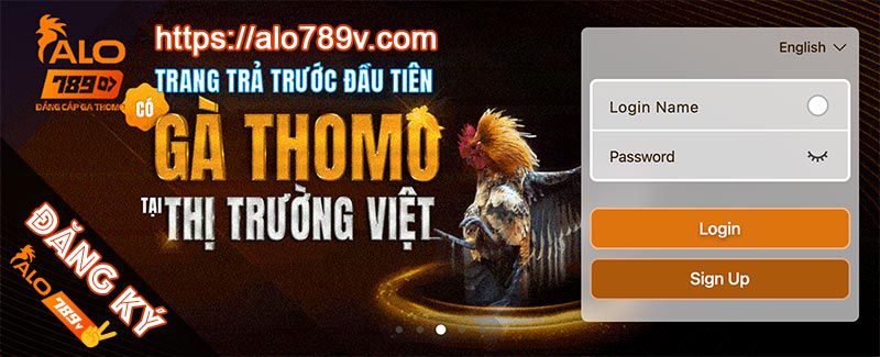 Tin tức và lời khuyên VIP của Xso99 - Xso99